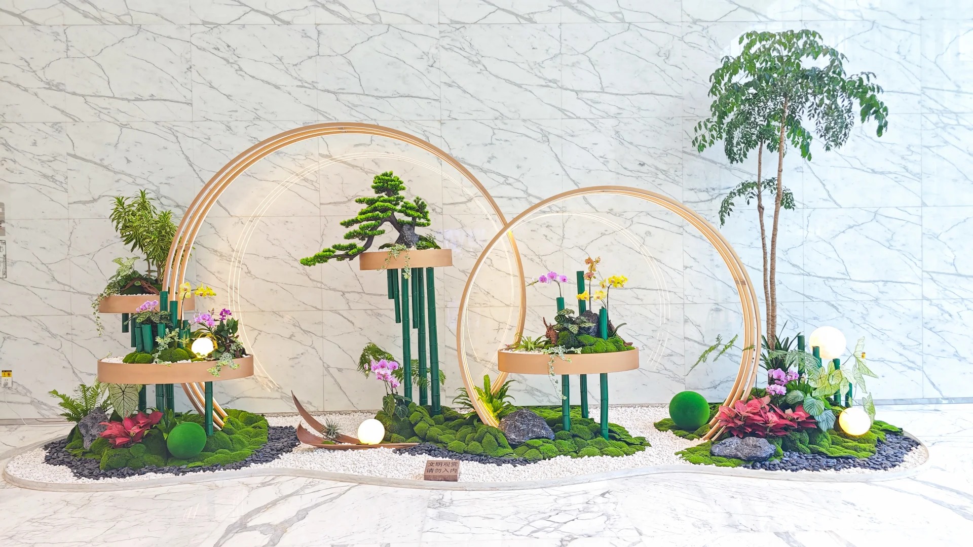 专业盆景出租，让宁波慈溪之美触手可及！